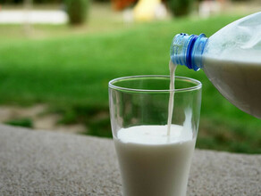 Скоро Амурская область будет обеспечена молоком на 97  благодаря инвестпроектам