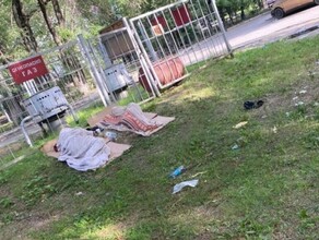 Благовещенку возмутили спящие на полянке бездомные фото