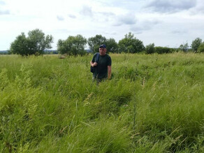 В Амурской области мужчина ушел за ягодами и пропал