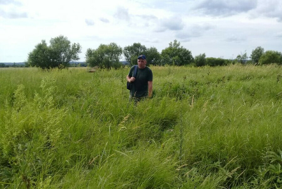 В Амурской области мужчина ушел за ягодами и пропал