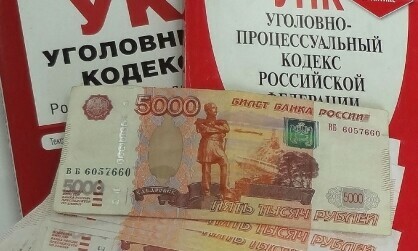 Эксзаведующую дошкольного учреждения Приамурья обвиняют по нескольким уголовным статьям 