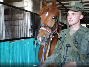 Курсанты ДВОКУ после интенсивных тренировок уехали в Монголию видео