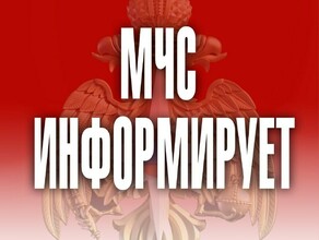 Амурчан предупреждают о мошенниках которые выдают себя за сотрудников МЧС