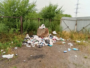 За мусорную свалку на Чигиринском водохранилище глава Благрайона получил представление прокуратуры