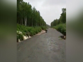 На севере Приамурья сняли на видео бурлящие потоки воды вдоль региональной трассы