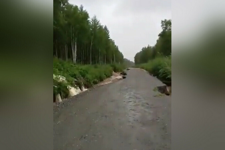 На севере Приамурья сняли на видео бурлящие потоки воды вдоль региональной трассы