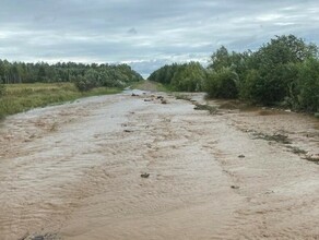 Власти Приамурья озвучили участки дорог которые пострадали при прохождении циклона фото