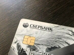 Сбер предлагает повышенные бонусы от СберСпасибо при оформлении кредитной карты 