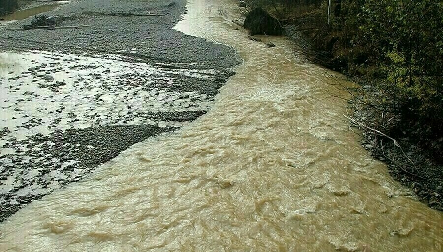 В Амурской области возбуждено уголовное дело о причинении золотодобытчиками ущерба реке Большая Эльга