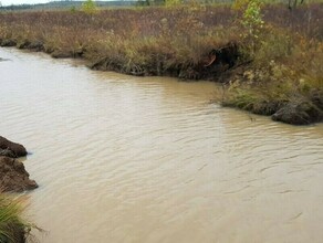 В Амурской области с золотодобытчиков взыскан 5миллионный ущерб причиненный ручью АсмаканМакит 