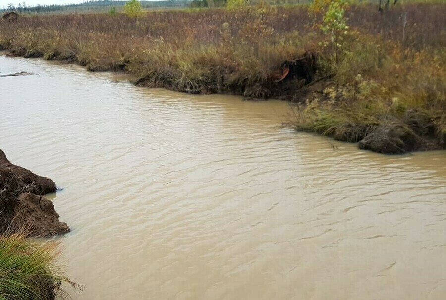 В Амурской области с золотодобытчиков взыскан 5миллионный ущерб причиненный ручью АсмаканМакит 
