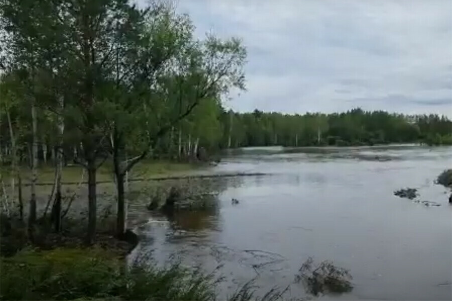 Погода береговой амурская зейский