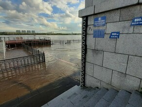 Гидрологи дали прогноз максимальных уровней Зеи и Амура при прохождении паводка у Благовещенска