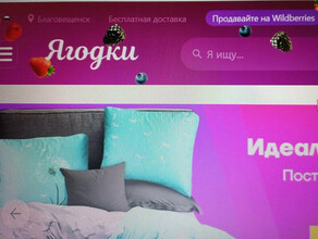 Компания Wildberries переименовала свой сайт в русскоязычные Ягодки