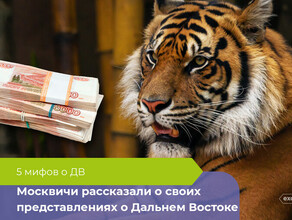 Ласковые тигры и зарплаты в 200 тысяч москвичи рассказали о своих представлениях о Дальнем Востоке 