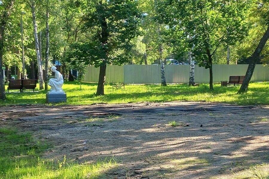 В Первомайском парке огородили две зоны Что скрывается за заборами фото