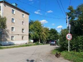 Трагедия в Прогрессе во время спиливания деревьев погиб рабочий