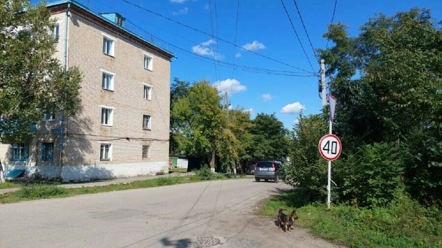 Трагедия в Прогрессе во время спиливания деревьев погиб рабочий