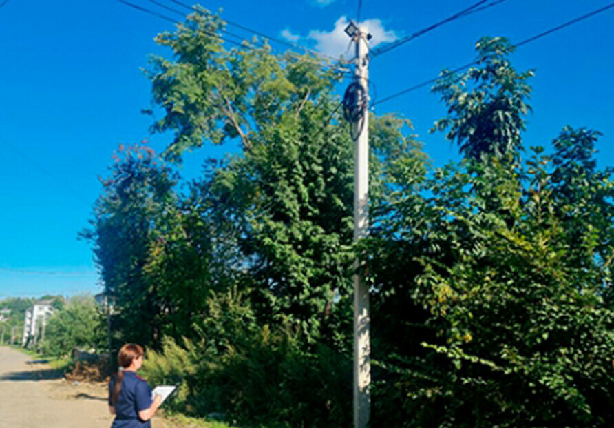 В Прогрессе возбуждено уголовное дело по факту гибели мужчины спиливавшего ветки