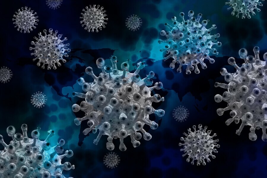 Стопкоронавирус сообщил о двух новых COVIDсмертях в Амурской области
