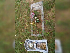 Повредили играя погром на кладбище в Тамбовском районе устроили трое детей