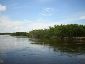 В реке Томь у Белогорска амурчане наткнулись на ужасную находку фото 18