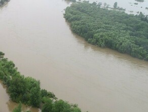 Реки Амурской области постепенно возвращаются в привычные русла гидрология на 22 августа