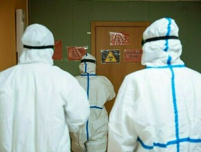Число зараженных стремительно растет в каких городах и районах Амурской области больше всего заболевших COVID19