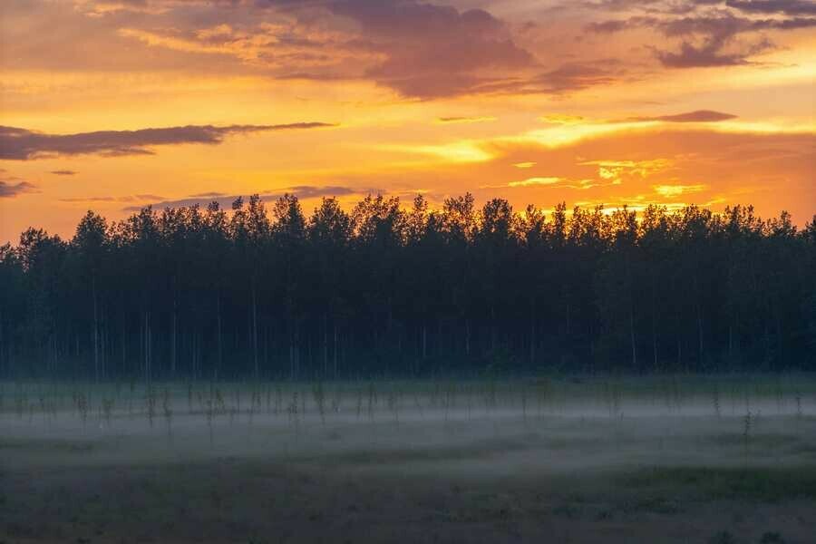 На окраине Прогресса нашли останки человека пропавшего без вести