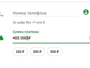 Жительница Благовещенска сделала более 50 переводов отдав мошенникам 25 миллиона рублей