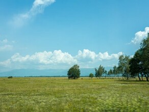 Власти Приамурья рассказали как правильно выбирать землю для строительства чтобы не остаться без жилья