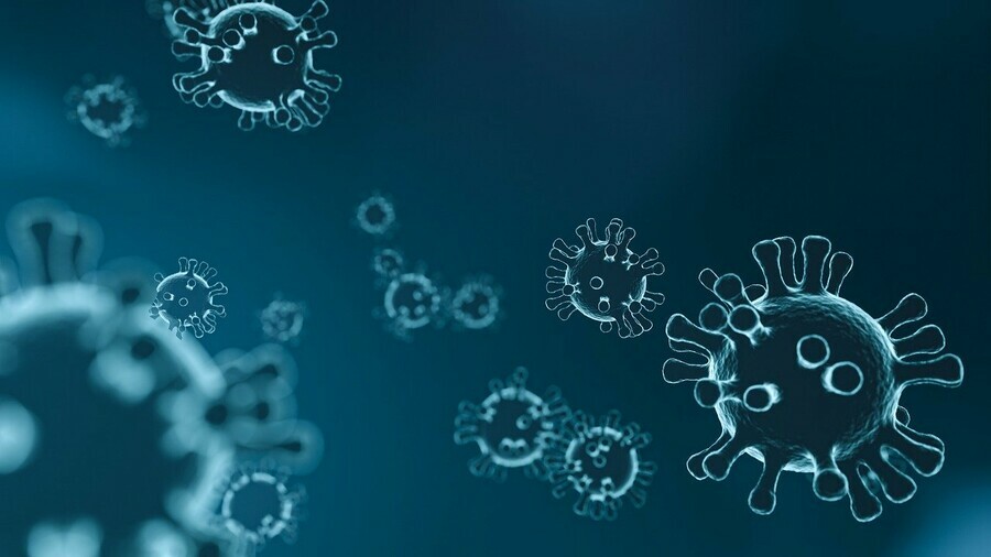 Стопкоронавирус сообщает что число COVIDсмертей в Приамурье достигло 50