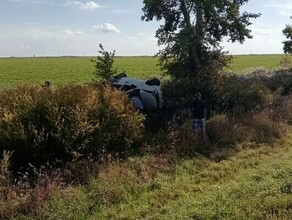 Стало известно кто погиб при опрокидывании машины которой управлял известный амурский художник