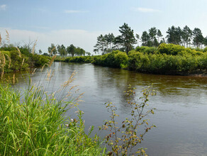 Как живёт красивая речка Большая Пёра рядом с масштабной стройкой Амурского ГПЗ