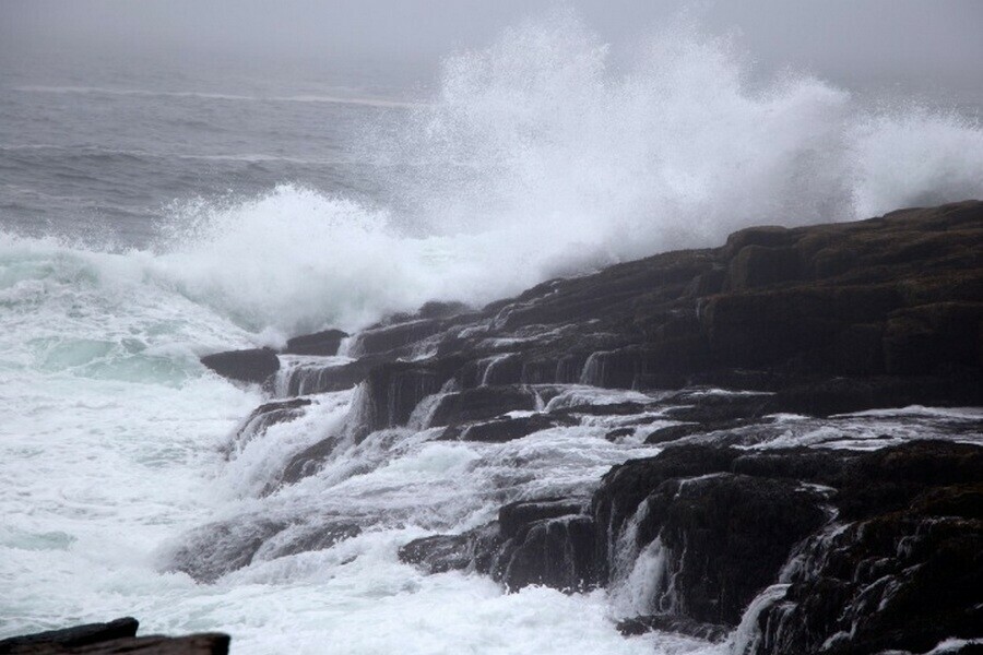 Супертайфун Hinnamnor смещается в сторону Японского моря Как он может повлиять на Приамурье 