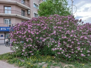 Амурская область стала лидером страны в зеленом жилищном строительстве