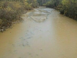 В Амурской области добытчики золота причинили ущерб реке 