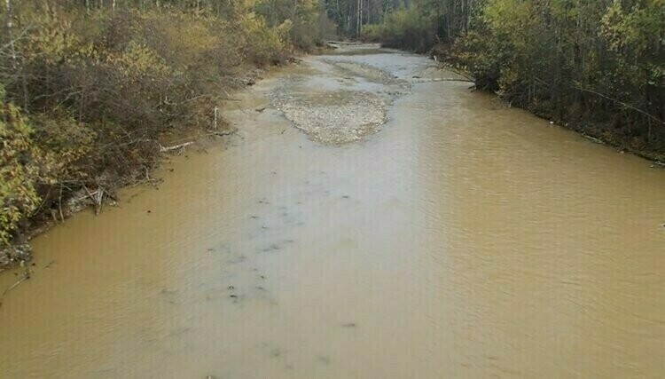 В Амурской области добытчики золота причинили ущерб реке 
