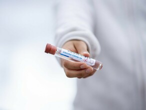 В Приамурье второй этап оценки популяционного иммунитета к коронавирусу планируют на октябрь