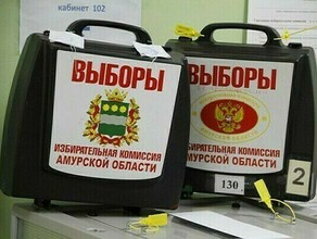 Кто кого в Амурской области подвели предварительные итоги выборов 