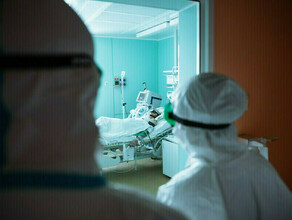 Стопкоронавирус за сутки в Амурской области госпитализировано 6 человек с COVID19 Сколько всего зафиксировано случаев