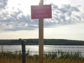 Вдоль государственной границы в Амурской области установили карантинную полосу