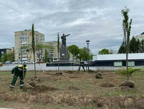 Судебные тяжбы вокруг озеленения Трибуны Холл назначена экспертиза для подсчета деревьев и кустарников высаженных в центре города