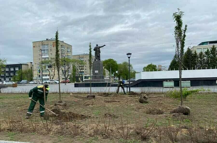Судебные тяжбы вокруг озеленения Трибуны Холл назначена экспертиза для подсчета деревьев и кустарников высаженных в центре города