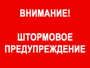 На начало недели в Амурской области объявлено штормовое предупреждение