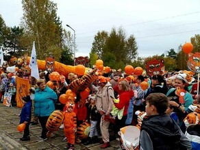 Тигриный парад прошел в Зее