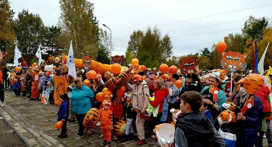 Тигриный парад прошел в Зее