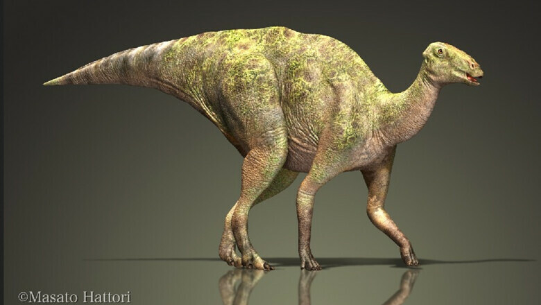 Палеонтологи нашли редкую мумию родственника амурского гадрозавра с кожей