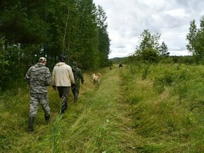 Выйти из леса заблудившимся амурчанкам помогли телефон сирена и пожарные