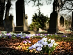 Не рвать цветы и не выпивать в Амурской области вступают в силу новые правила поведения на кладбищах 
